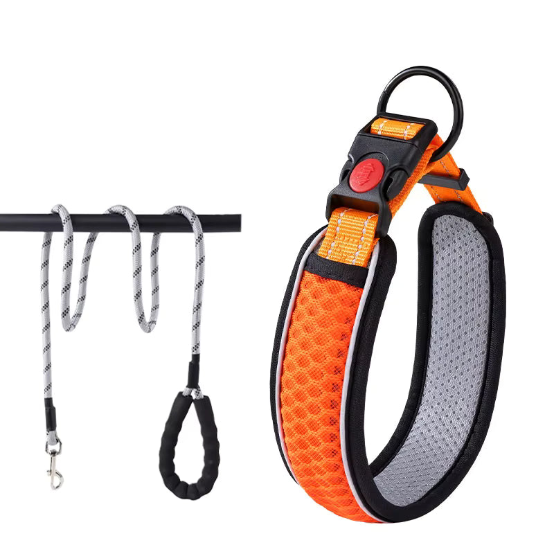 Reflecterende halsband en riem