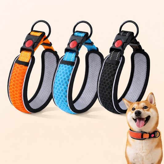 Reflecterende halsband en riem