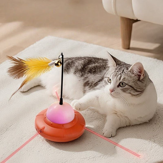 2 in 1 Kattenspeelgoed met Laser en Veren interactieve speelgoed