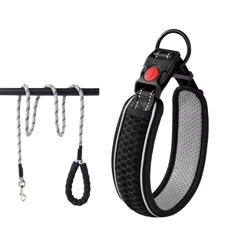 Reflecterende halsband en riem