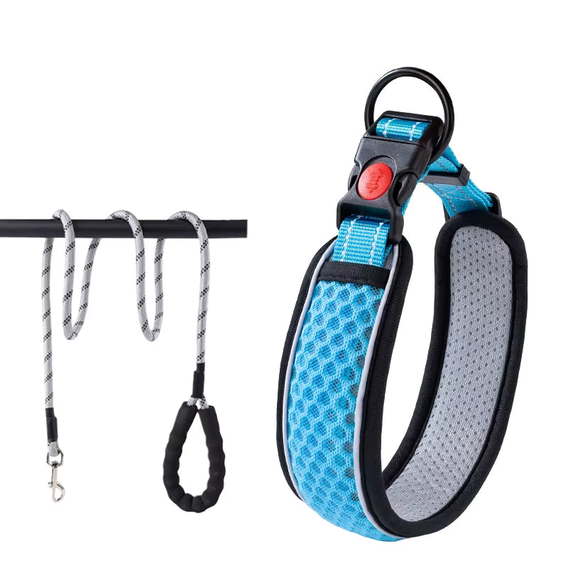 Reflecterende halsband en riem