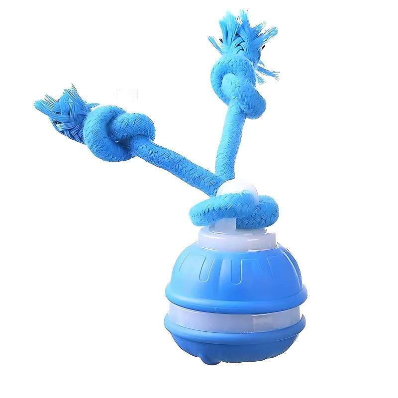 Automatische Bewegingsbal Honden – Interactief Speelgoed